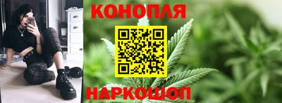 индика Заводоуковск