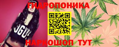 индика Заводоуковск