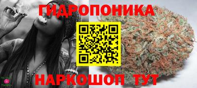 герыч Дубна